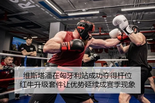 维斯塔潘在匈牙利站成功夺得杆位 红牛升级套件让优势延续成赛季现象